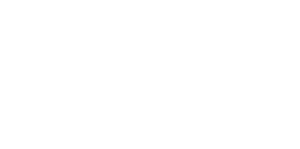 Logo Elisa Stage