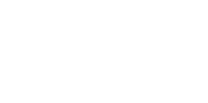Logo Solid