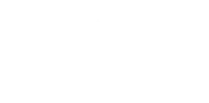 Logo Wiso